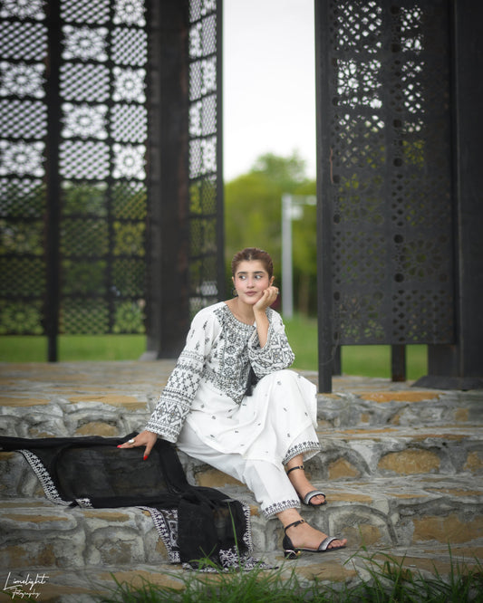 Arfa Embroidery 3pc