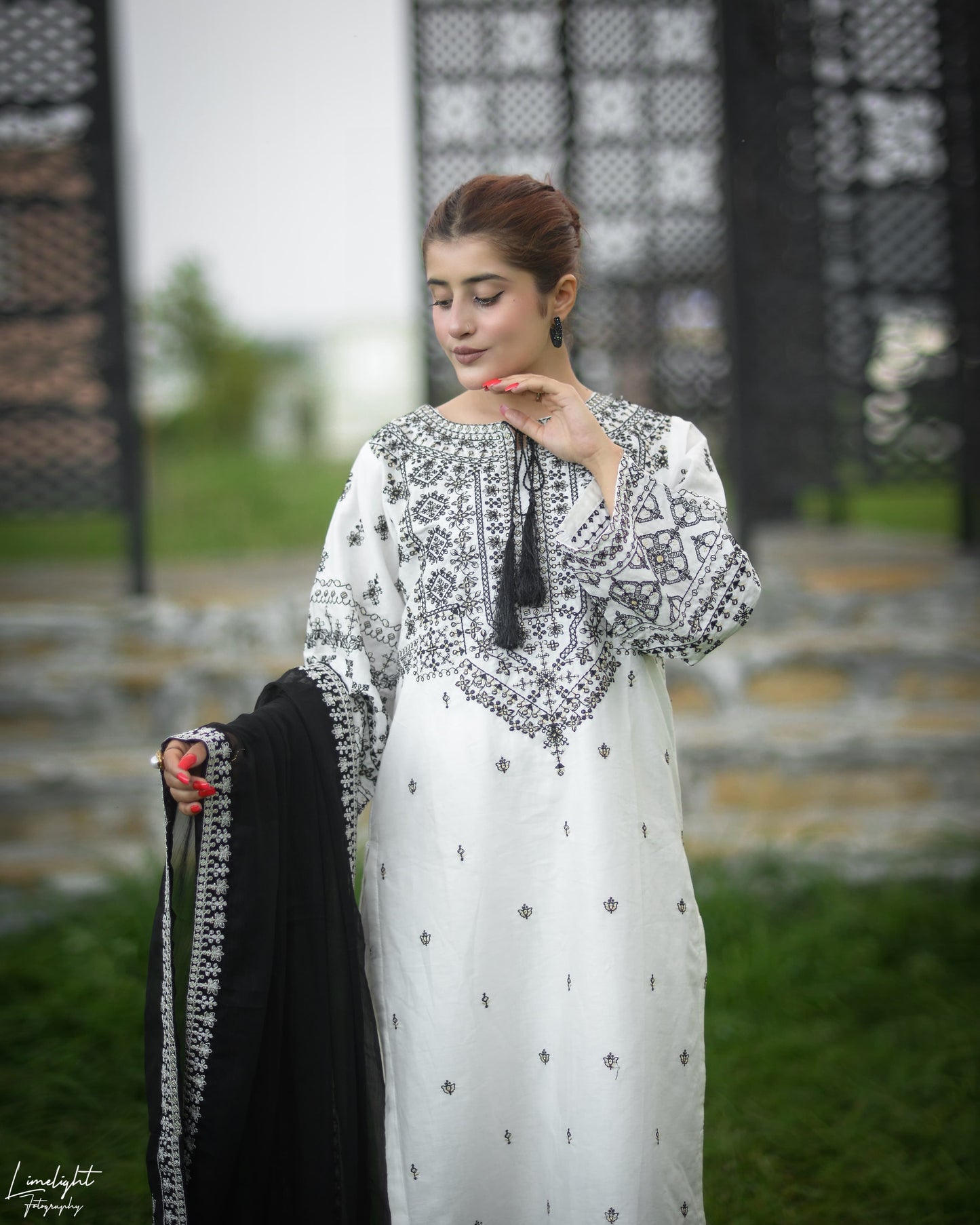 Arfa Embroidery 3pc