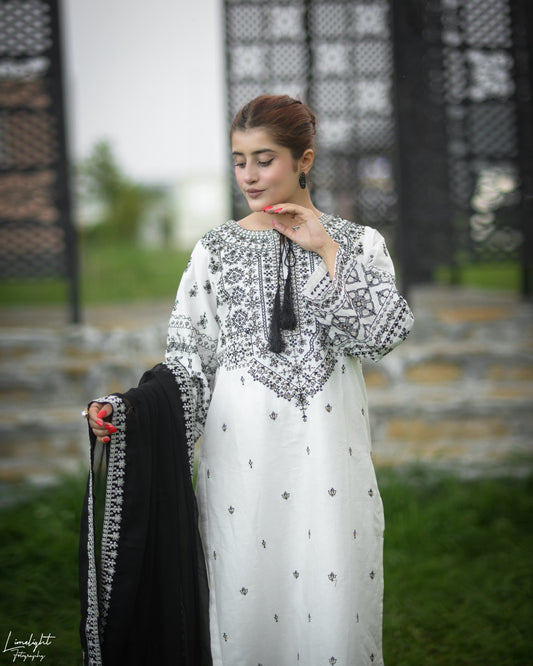 Arfa Embroidery 3pc