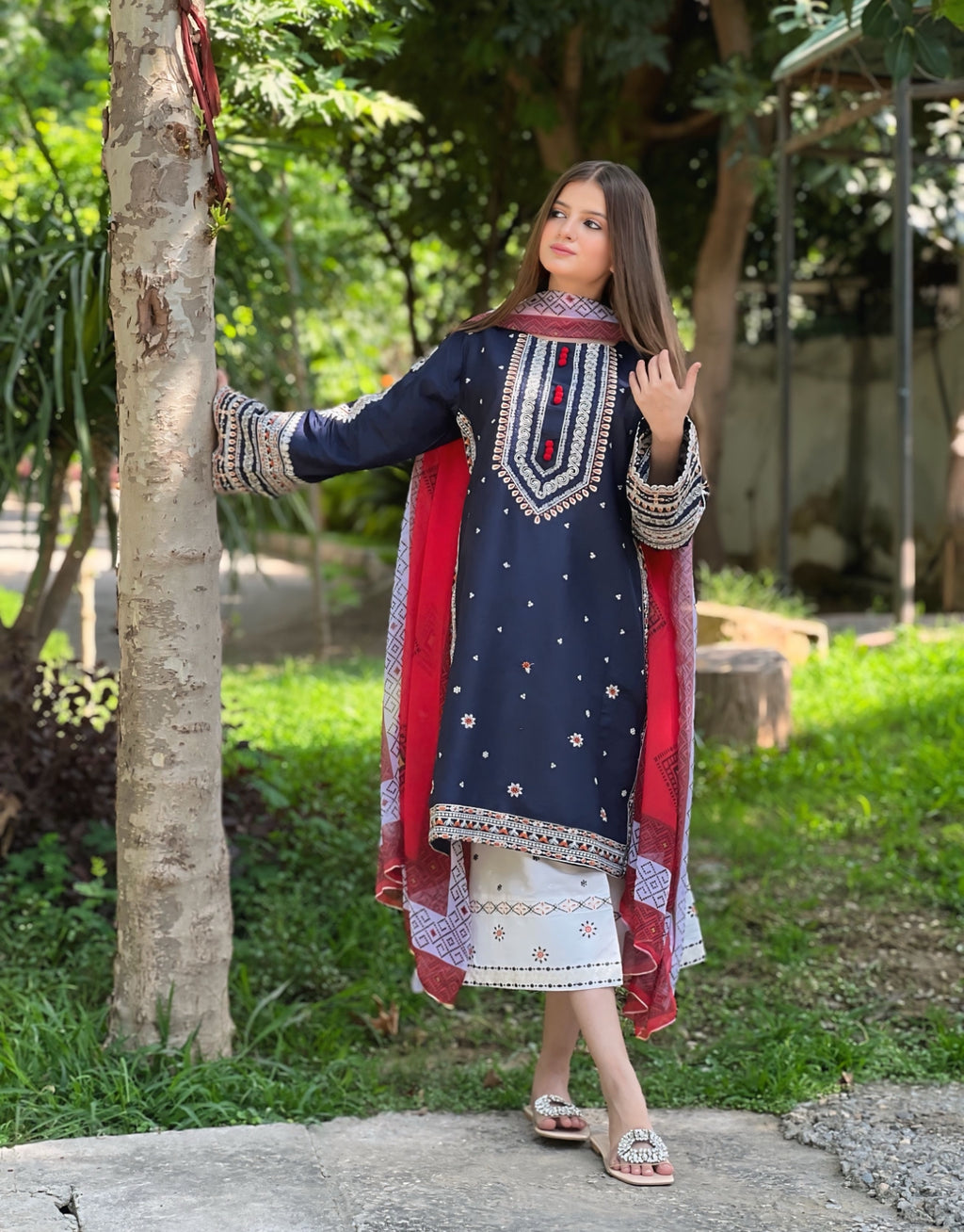 # DASTAAN Embroidered 3 pc