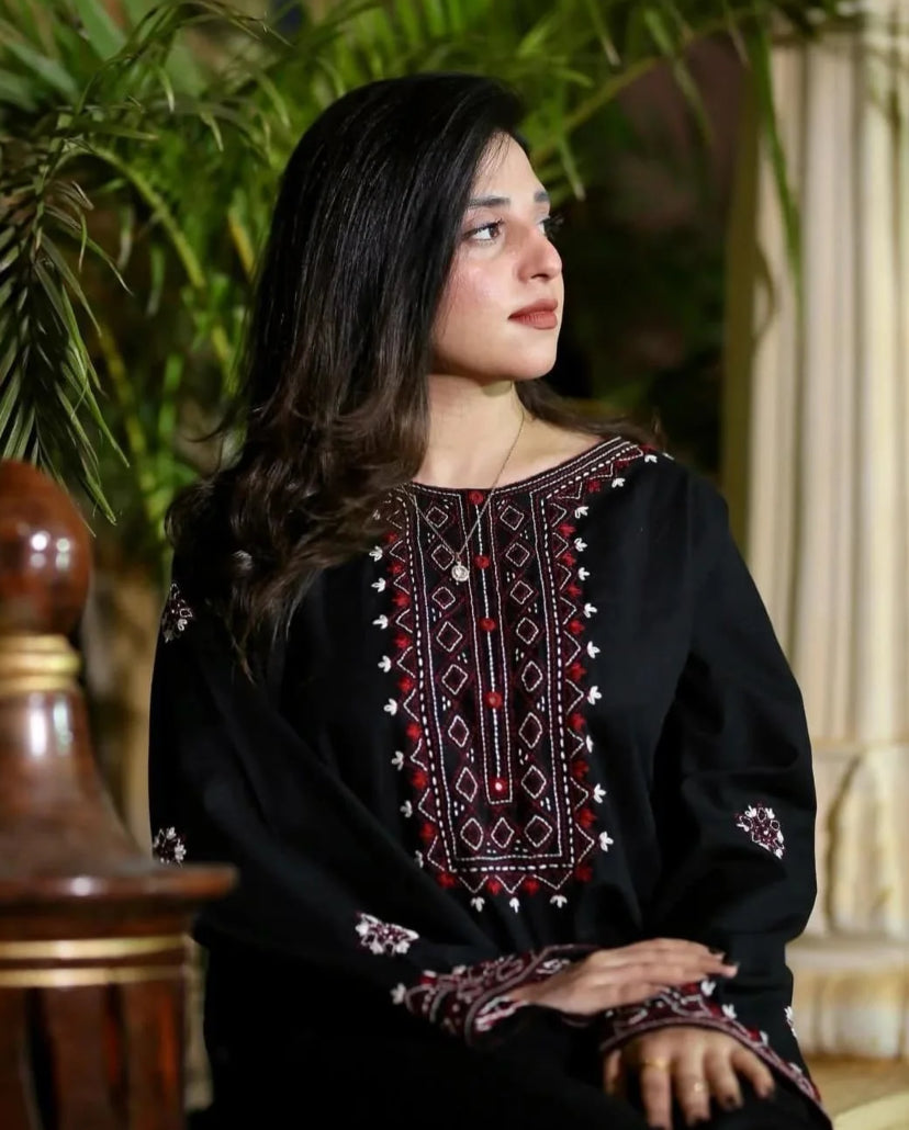 SINDHI EMB Embroidered Co Ords set